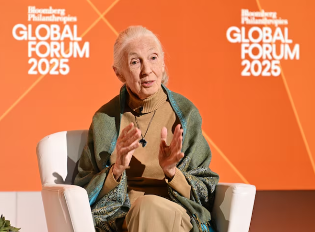 Pysu She was 91 years old