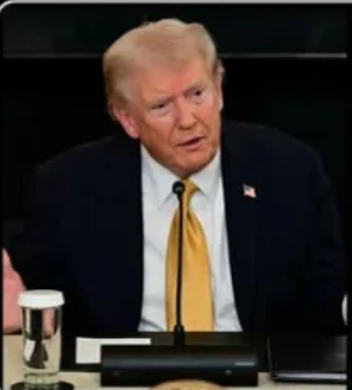 Chelsea Clinton Slams Trump For ‘Wrecking Ball’ Renovations At White House