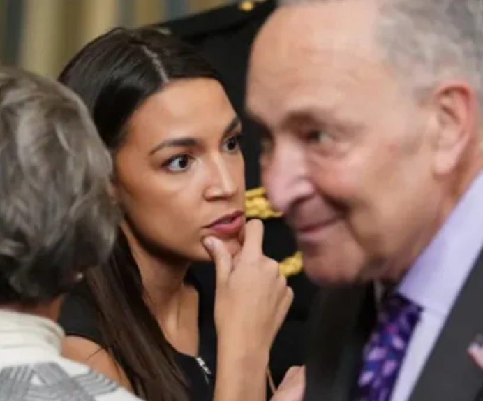 Five Leading, Influential Democrats Called Out as Alleged Epstein Clients by Roger Stone